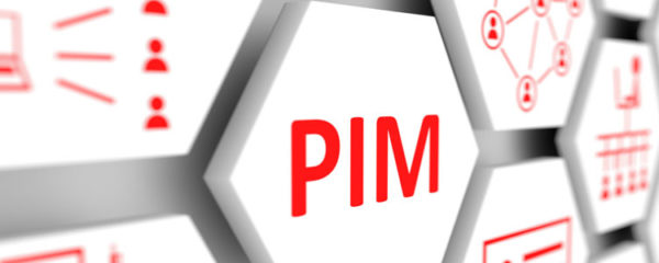 Projet PIM