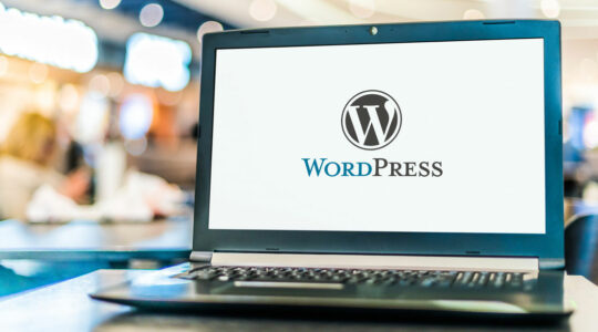 agence WordPress